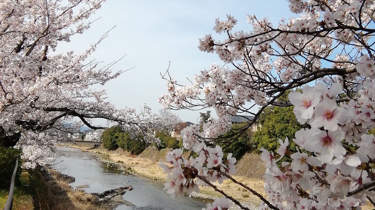 Photo of Outdoor in Kameoka