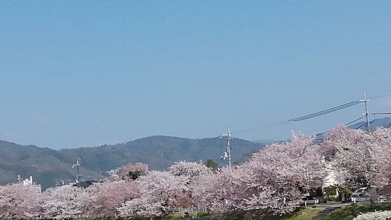 Photo of Outdoor in Kameoka