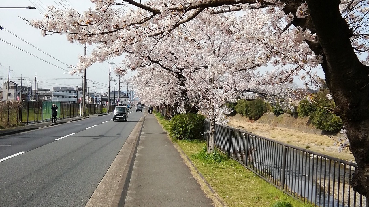 Photo of Outdoor in Kameoka