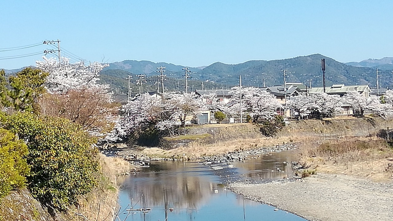 Photo of Others in Kameoka