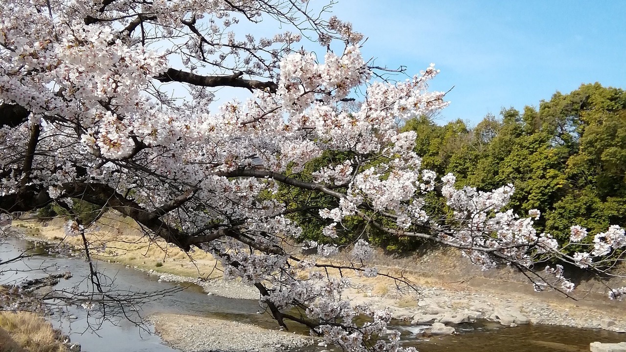 Photo of Outdoor in Kameoka