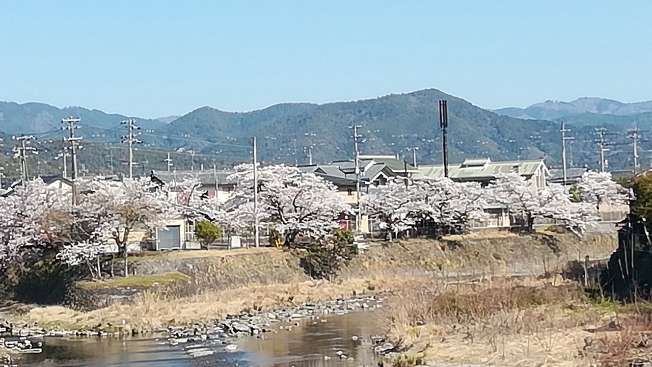 Photo of Others in Kameoka
