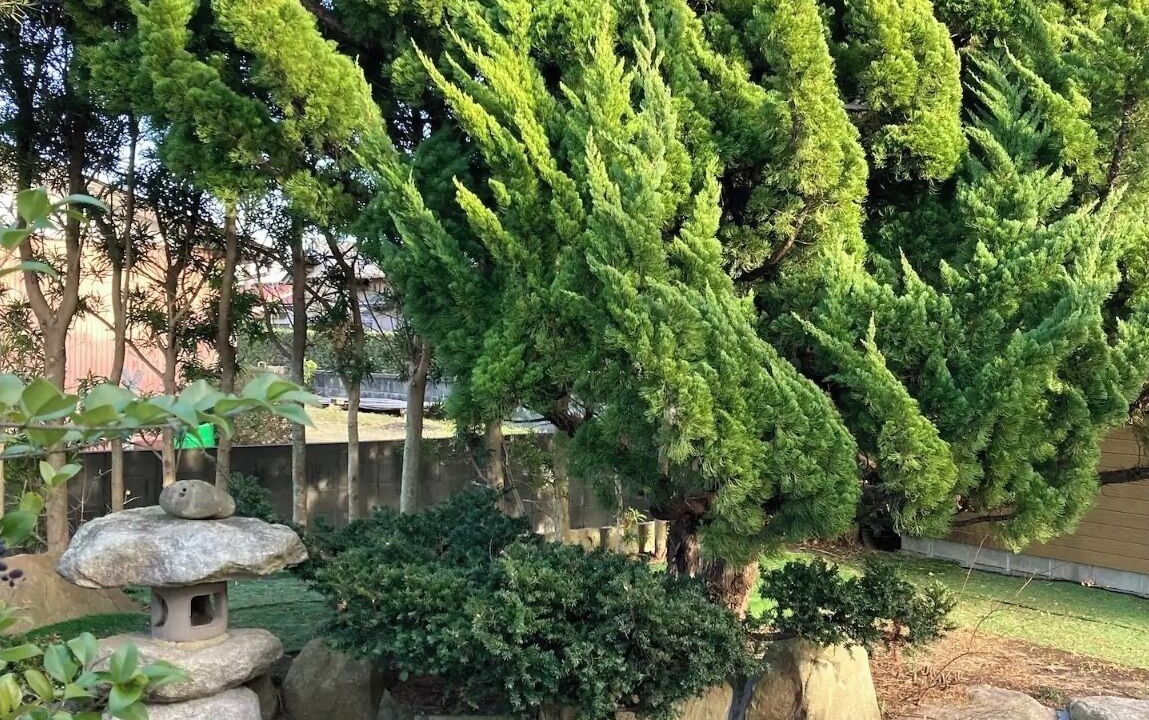 Photo of Outdoor in Yokoshibahikari