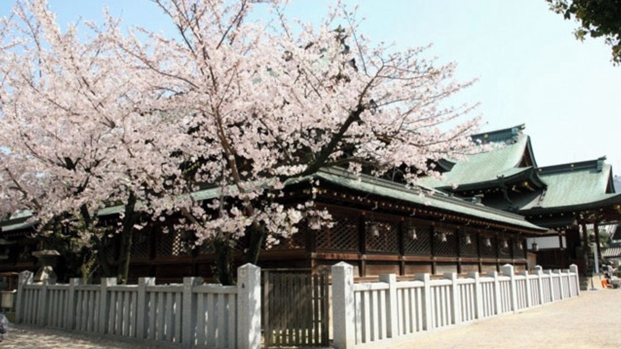 Photo of Outdoor in Nishitenma