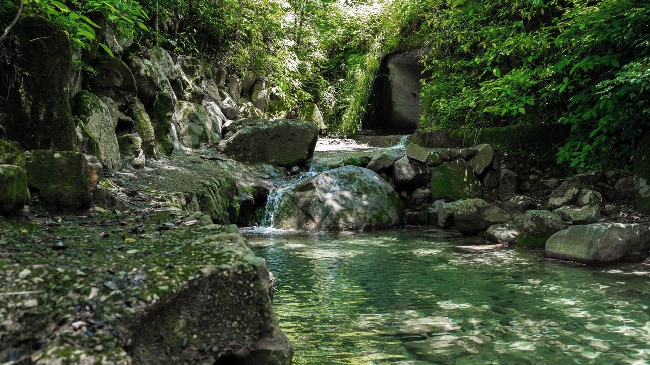 Photo of Outdoor in Hakone