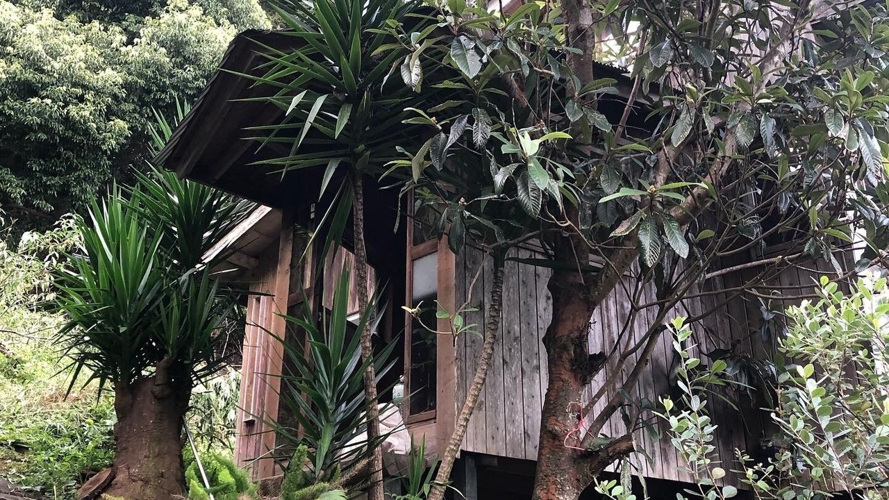 Photo of Outdoor in Minamiizu