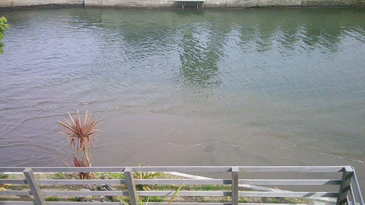 Photo of Others in Futtsu