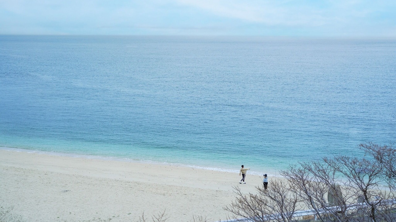 Photo of Others in Aji Cho