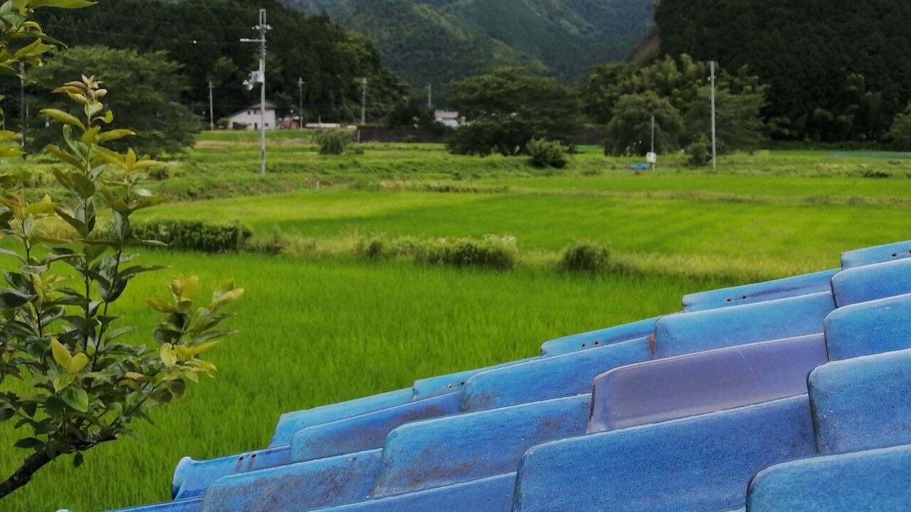 Photo of Outdoor in Tamba