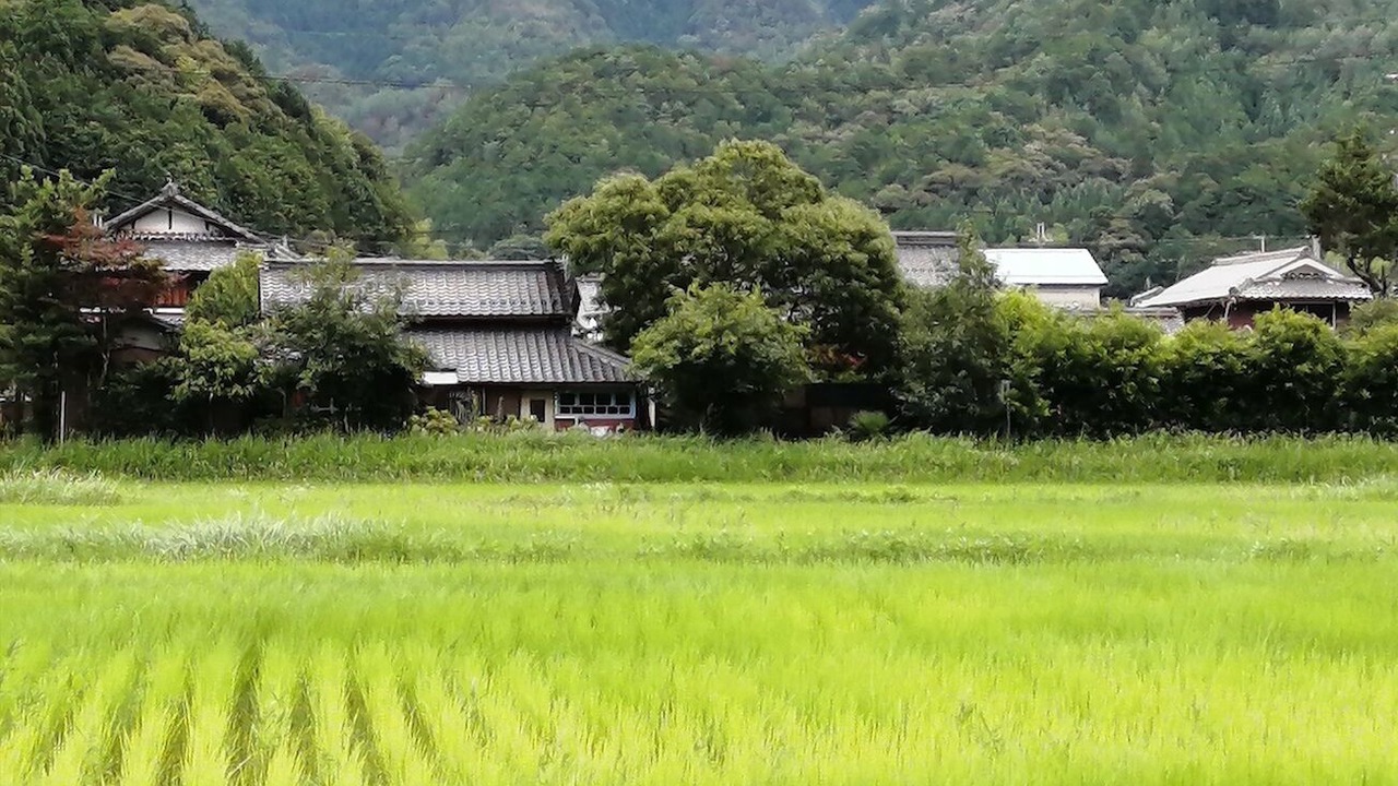 Photo of Outdoor in Tamba