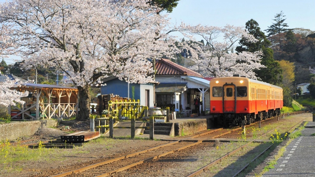 Photo of Others in Ichihara