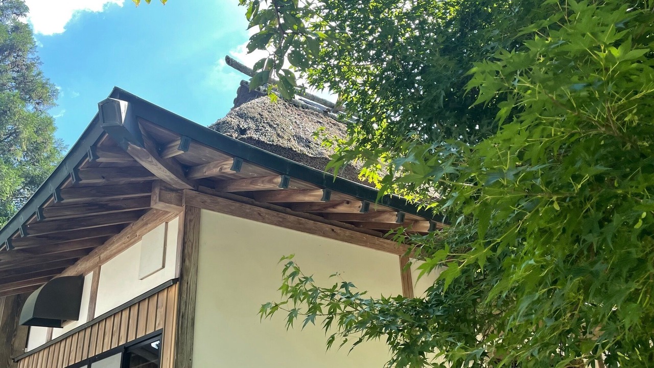 Photo of Outdoor in Kokonoe