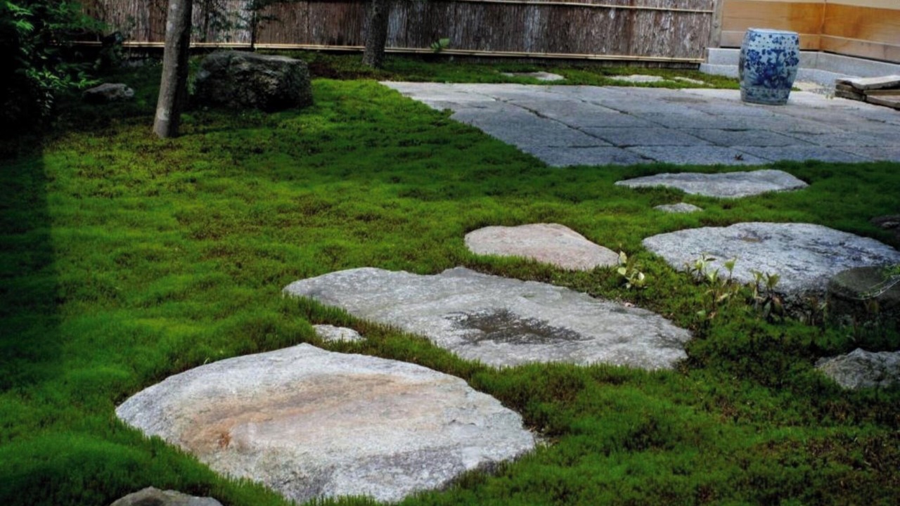 Photo of Outdoor in Gion