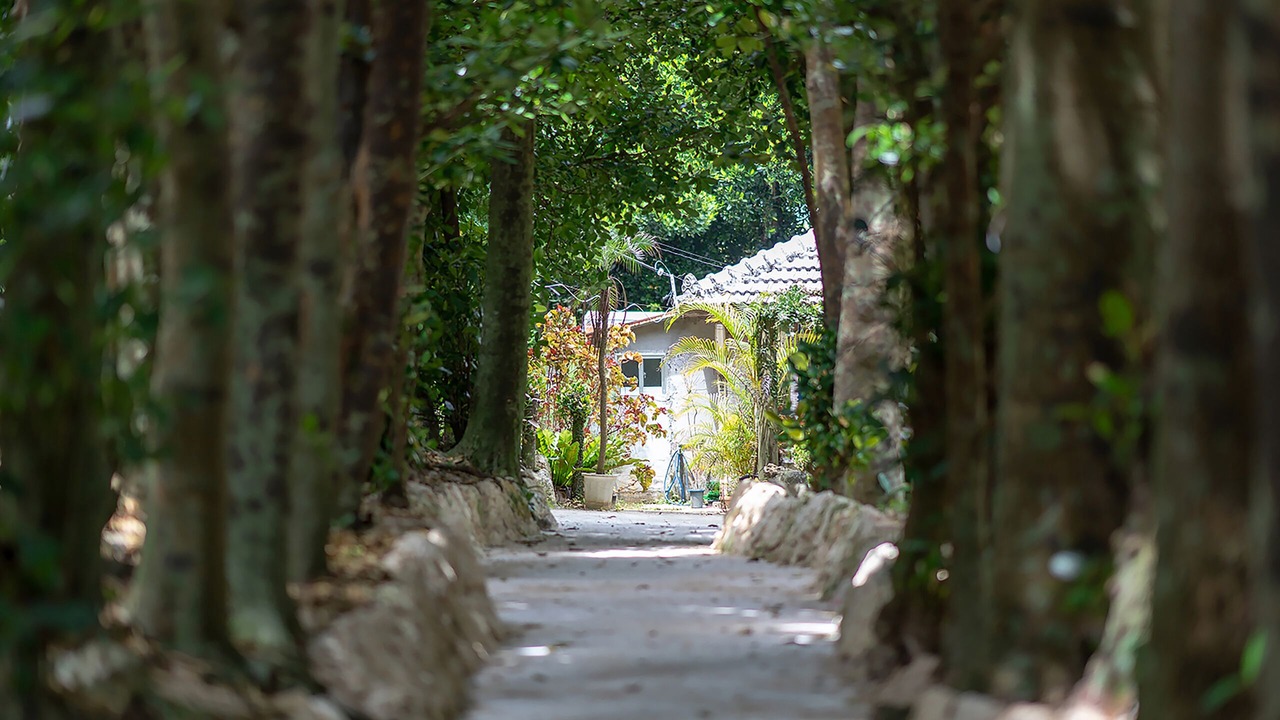 Photo of Outdoor in Motobu