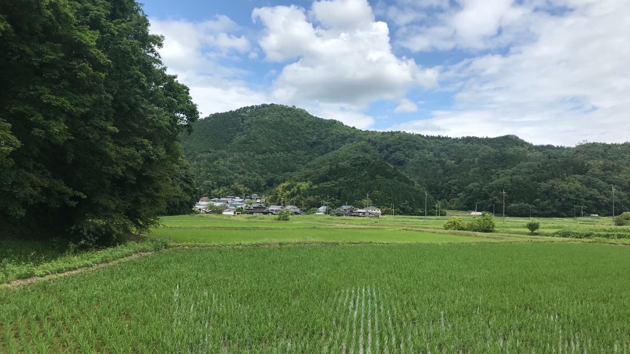 Photo of Others in Sasayama