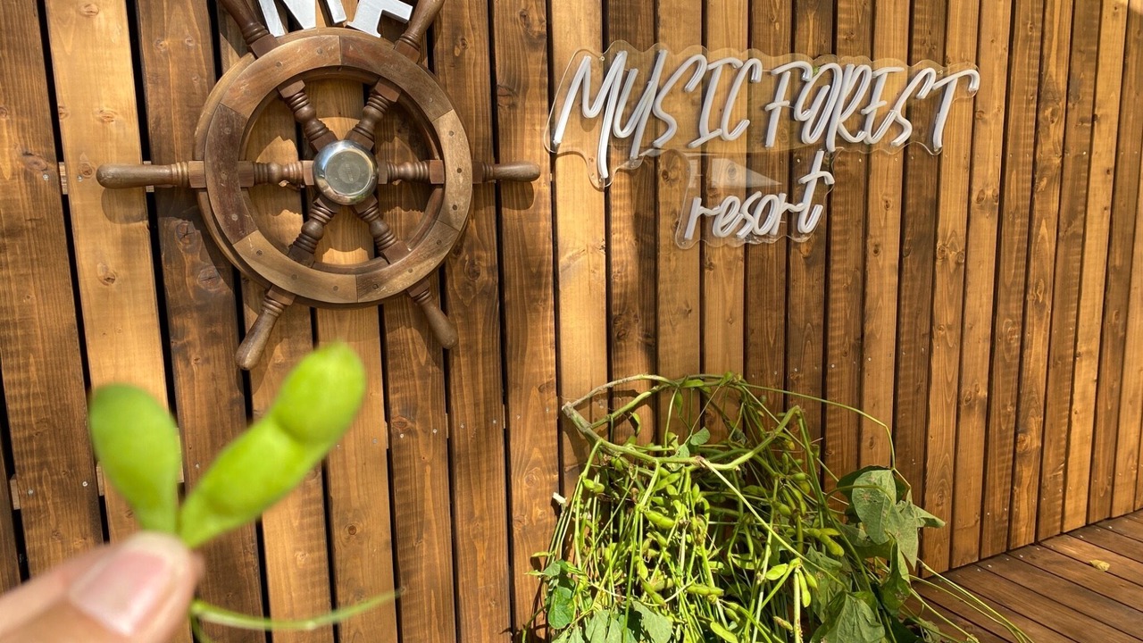 Photo of Outdoor in Sasayama