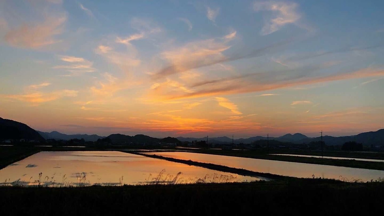 Photo of Others in Sasayama