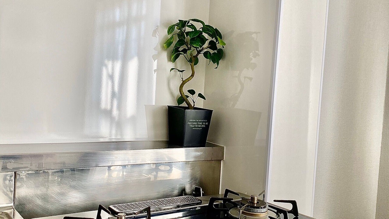 Photo of Kitchen in Toshima