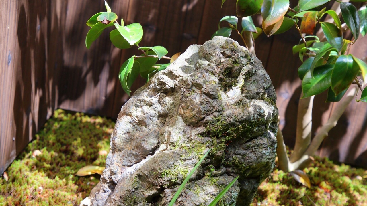 Photo of Outdoor in Shimogyo