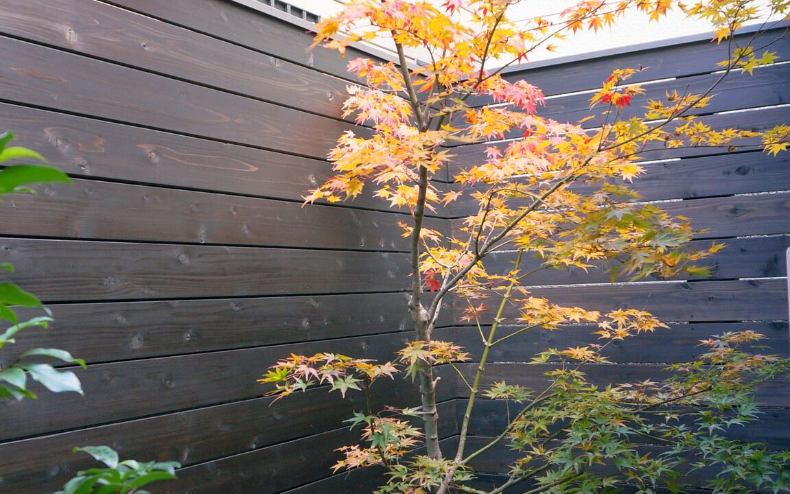 Photo of Outdoor in Nishijin