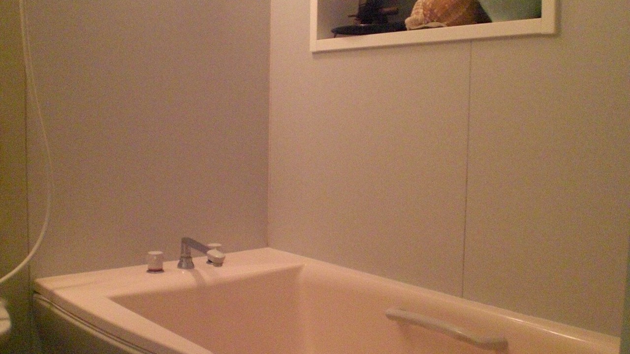 Photo of Bathroom in Numazu