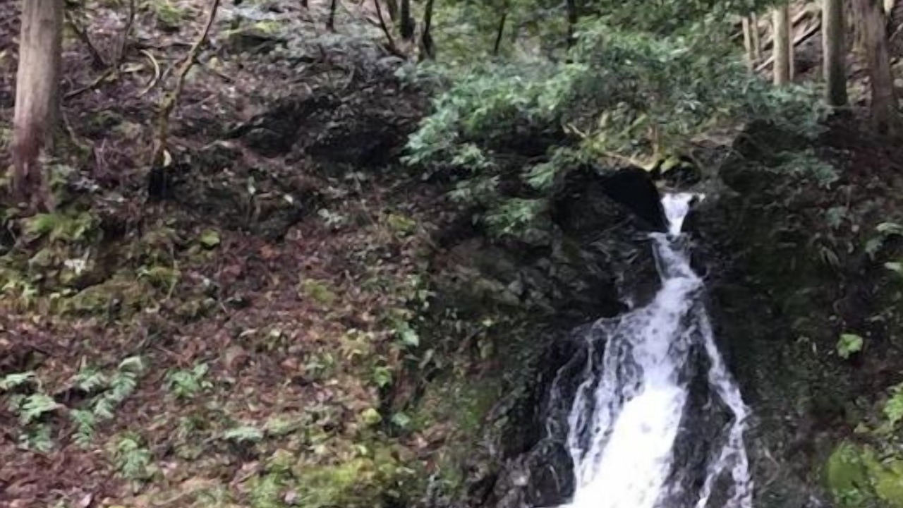 Photo of Outdoor in Ine-cho