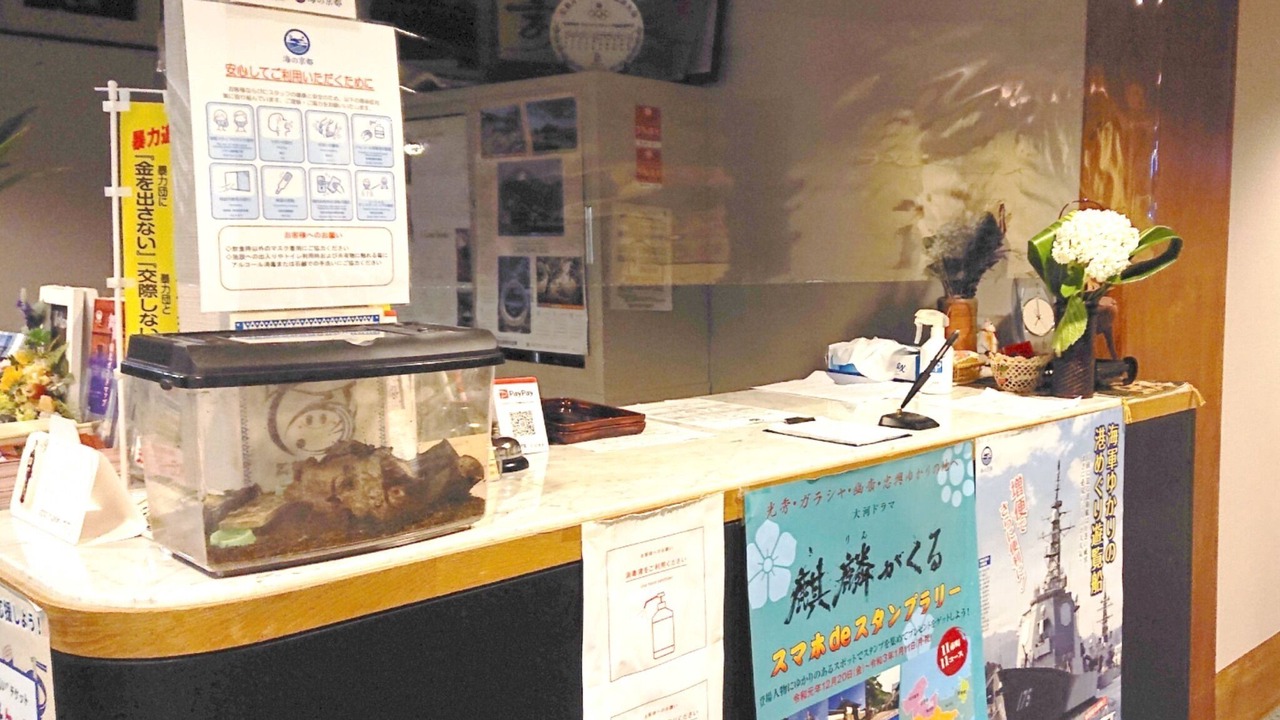 Photo of Others in Maizuru