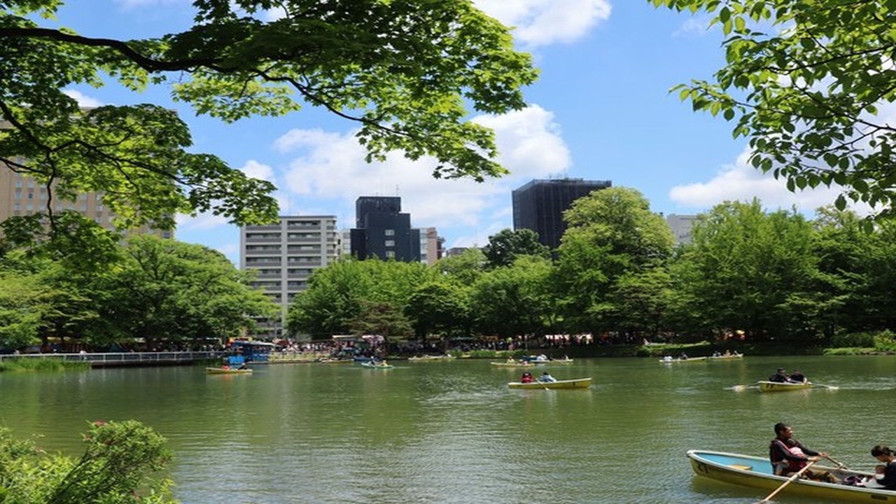 Photo of Others in Chuo-ku