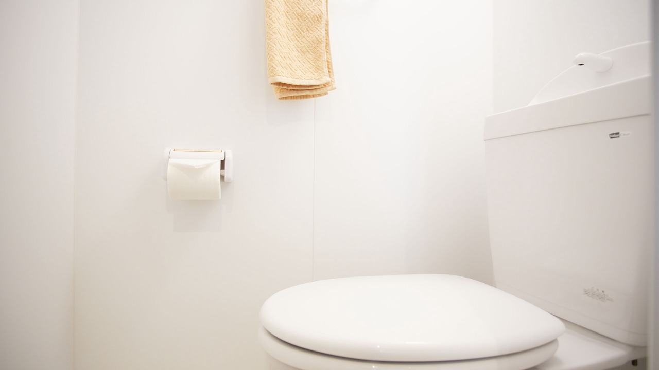 Photo of Bathroom in Okinawa