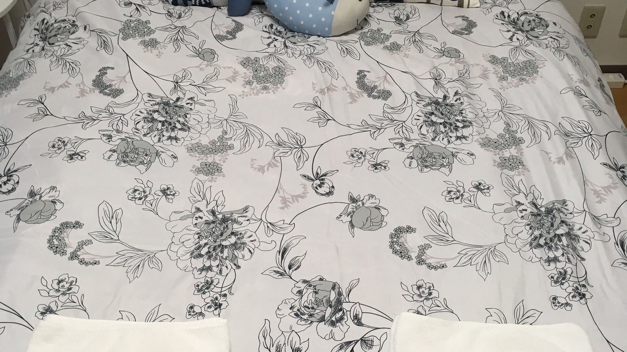 Photo of Bedroom in Setagaya