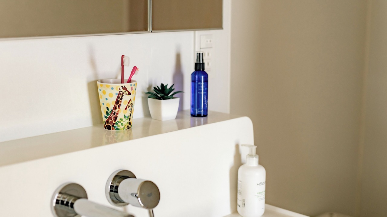 Photo of Bathroom in Toya