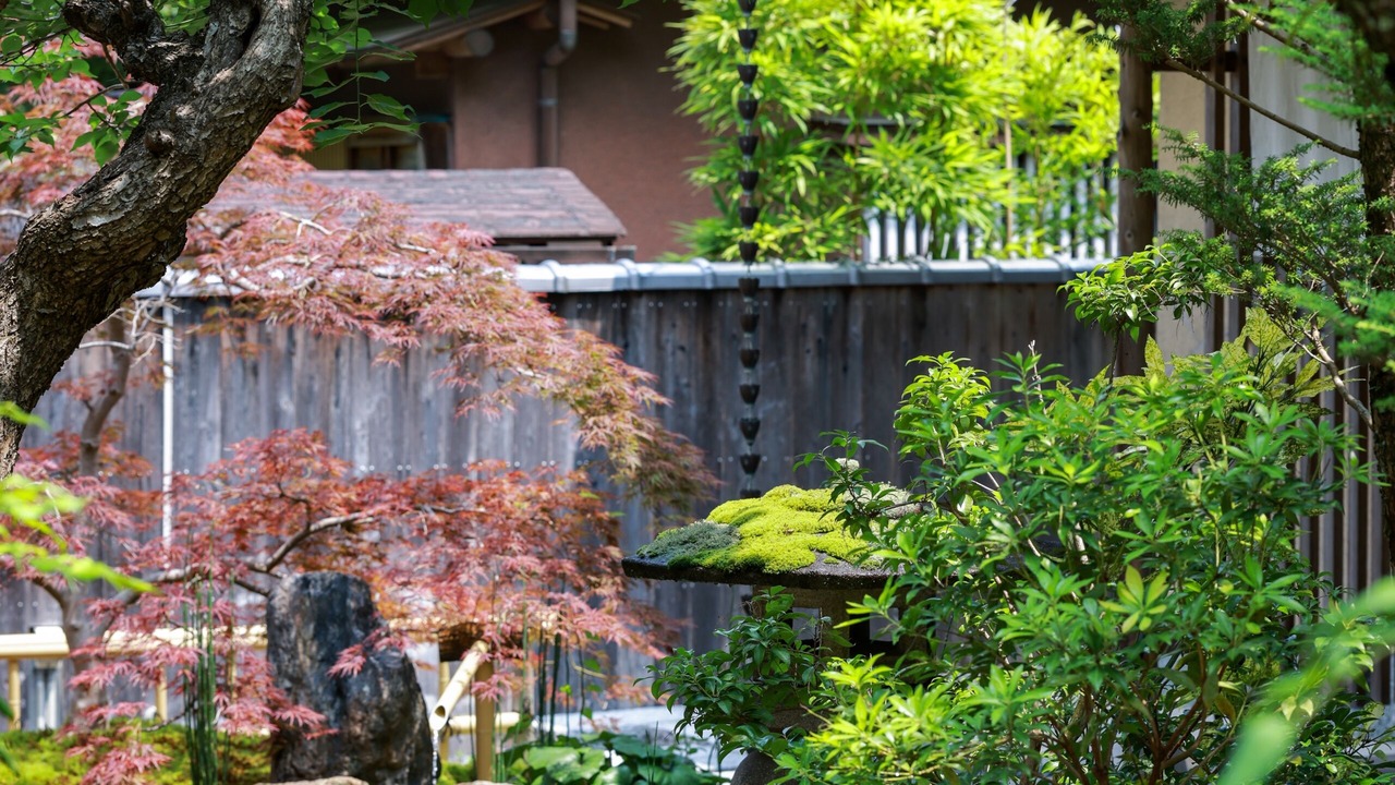 Photo of Outdoor in Ukyo Ward