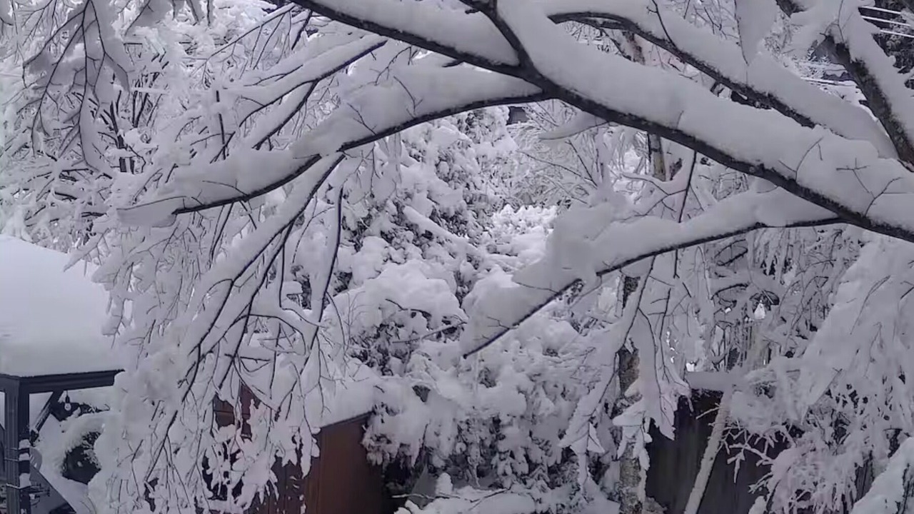Photo of Outdoor in Doshi-mura