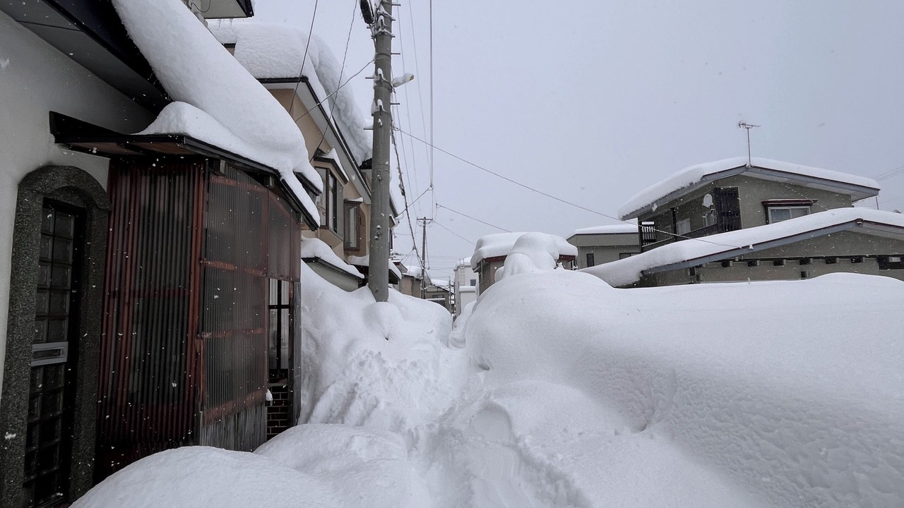 Photo of Outdoor in Hirosaki