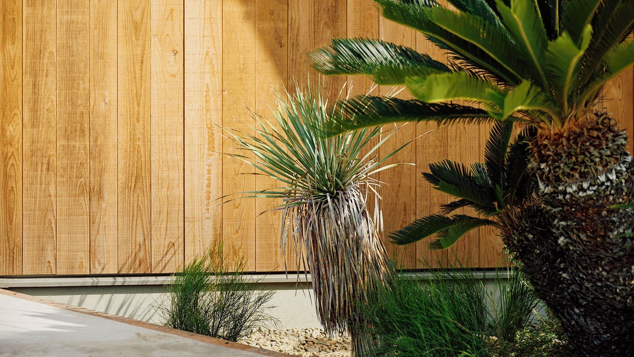 Photo of Outdoor in Ichinomiya