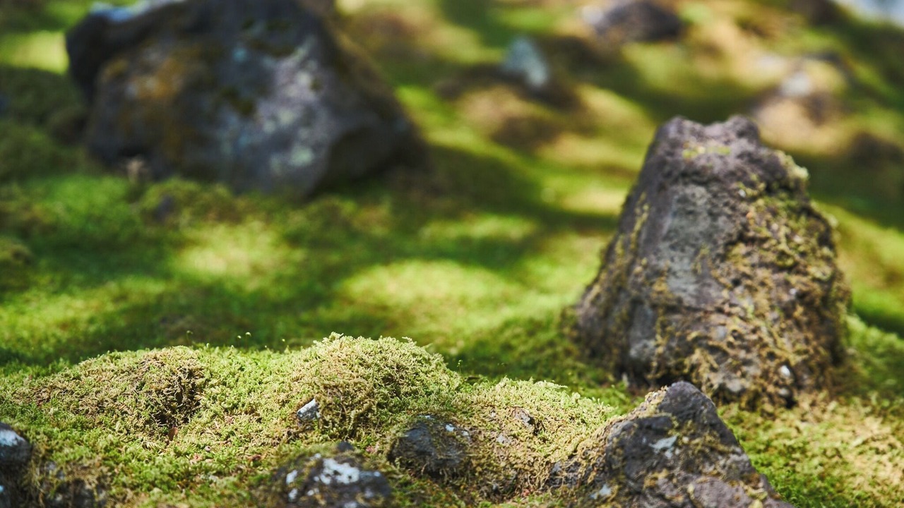 Photo of Outdoor in Yawatano