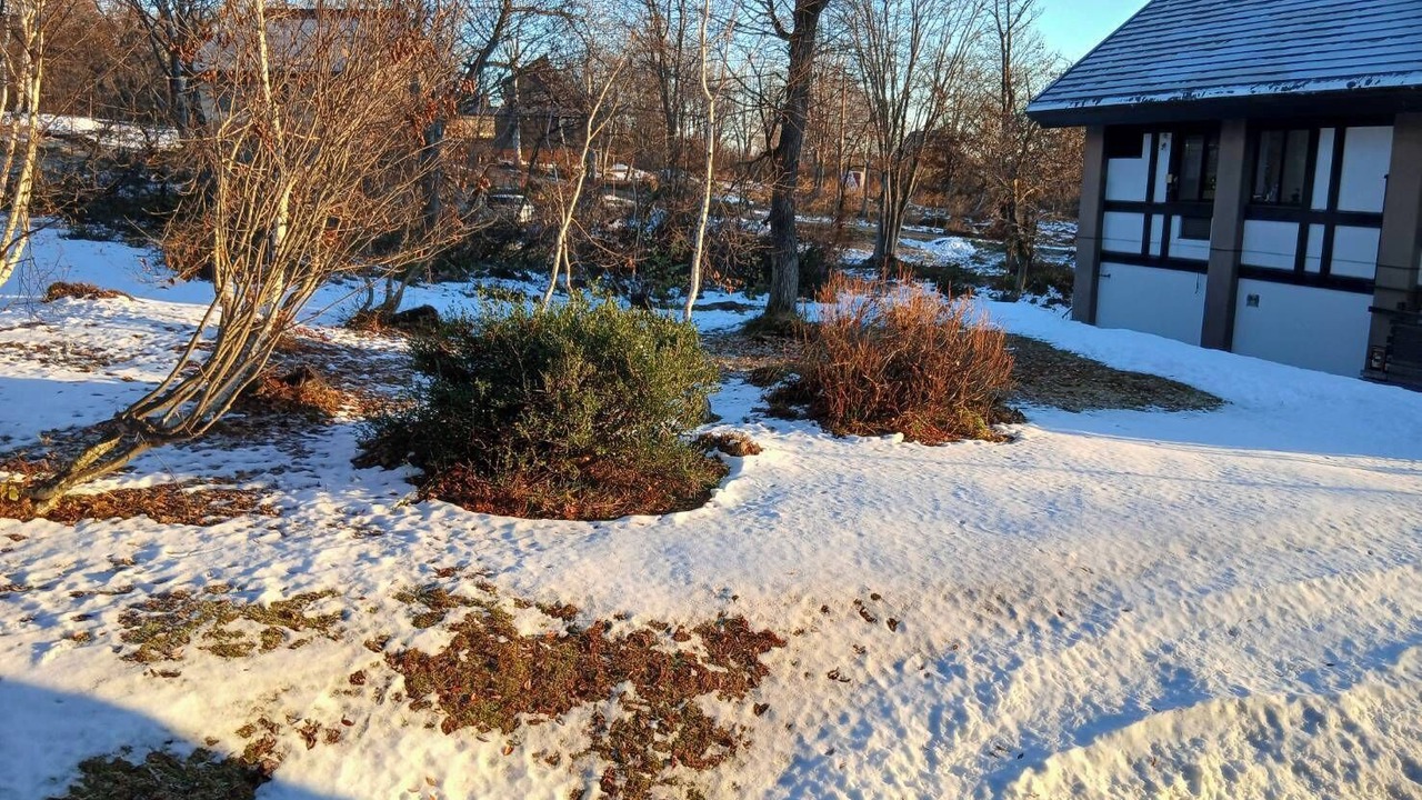Photo of Outdoor in Myoko