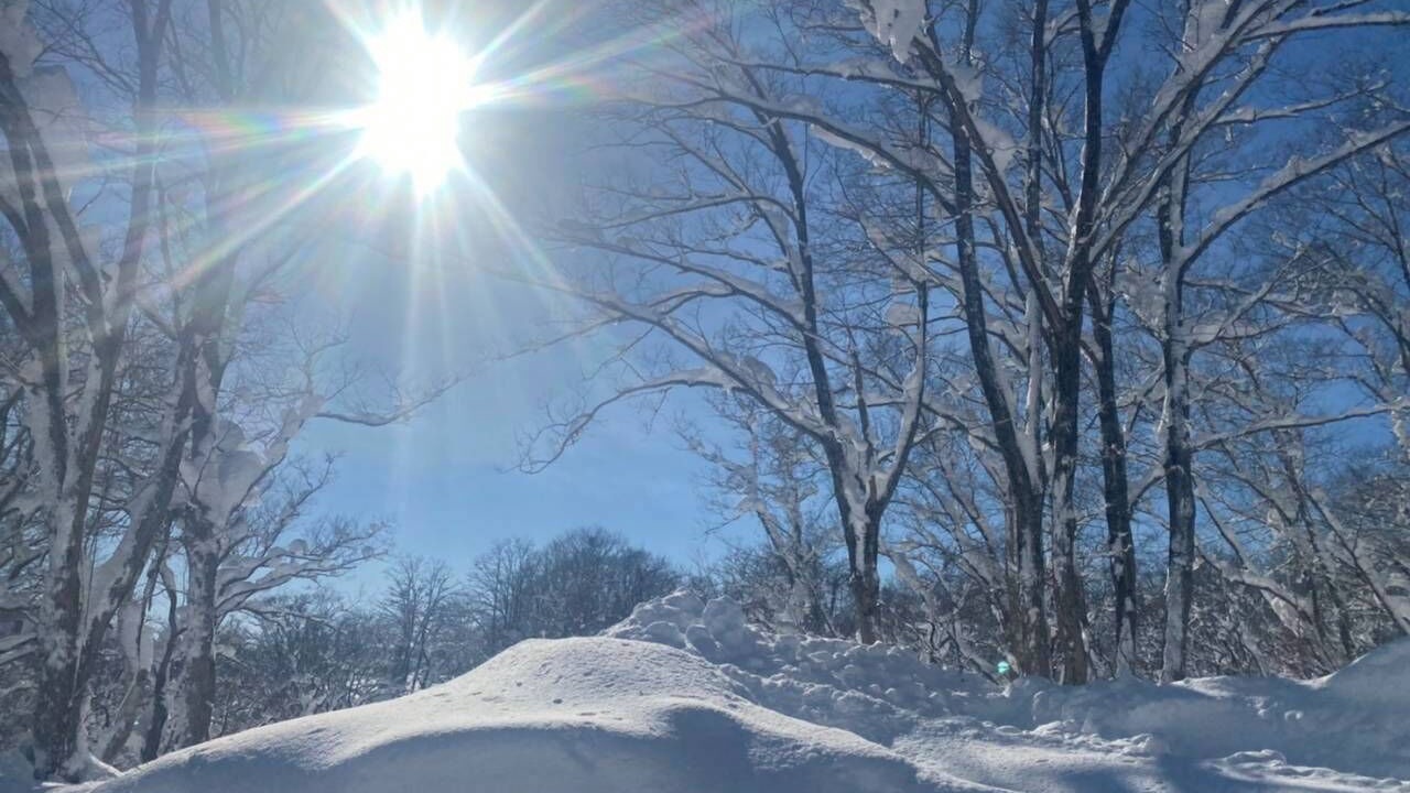 Photo of Others in Myoko