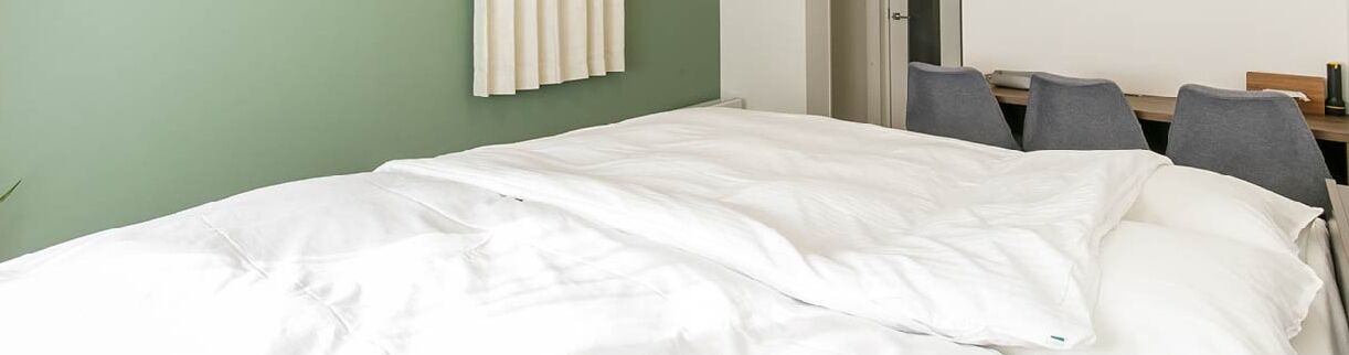 Photo of Bedroom in Nakamura