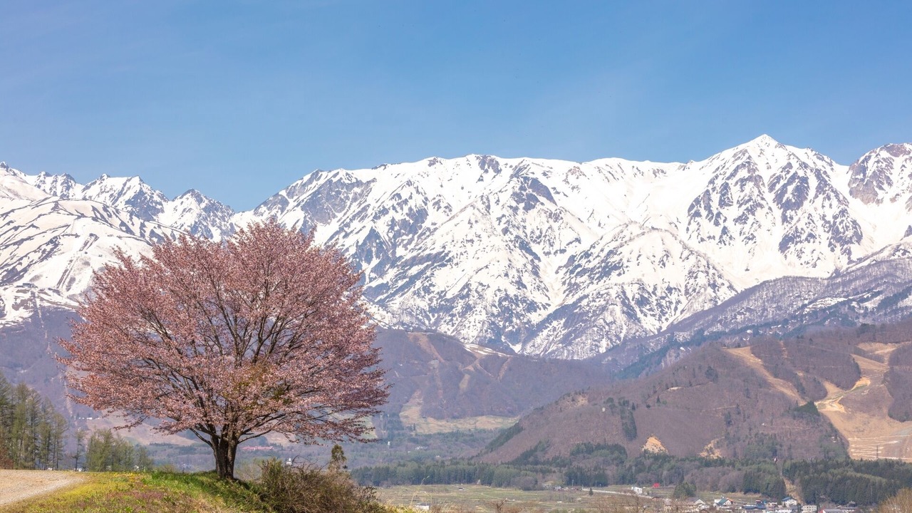 Photo of Outdoor in Kitaazumi-gun