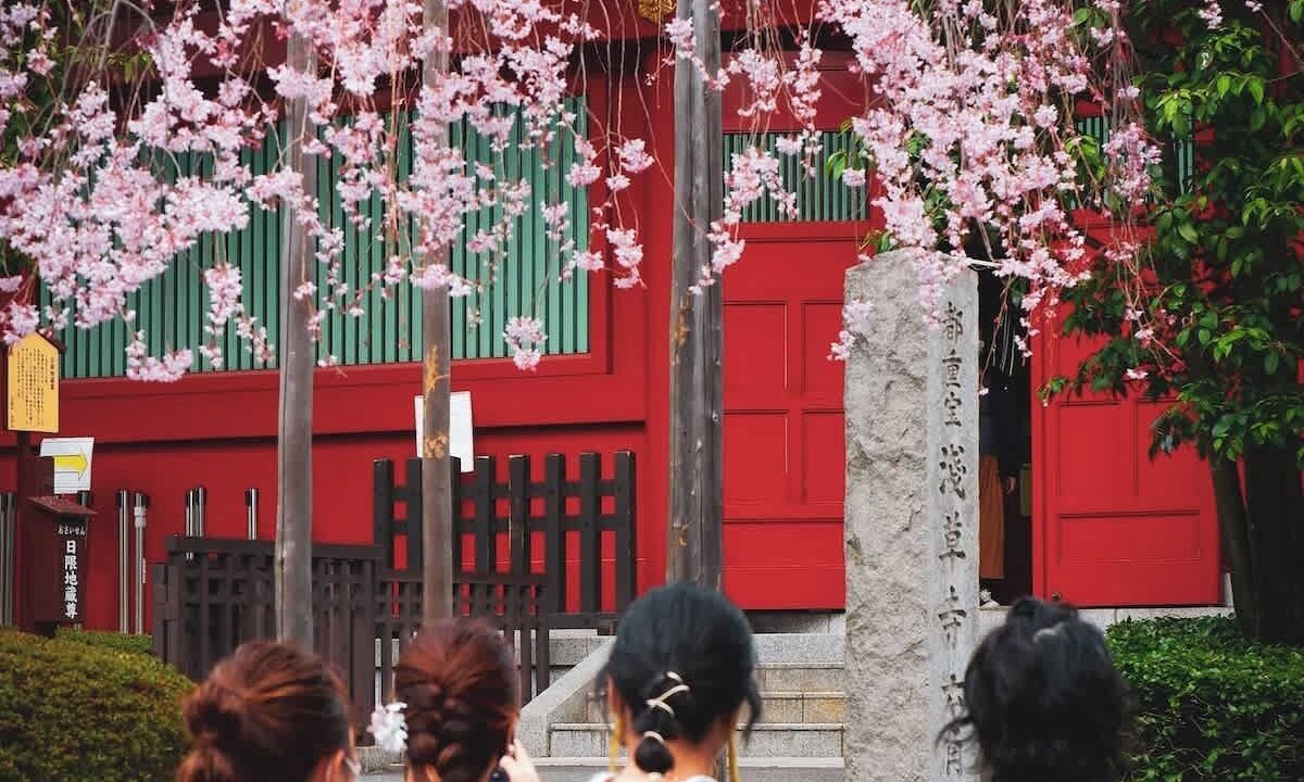 Photo of Others in Taito