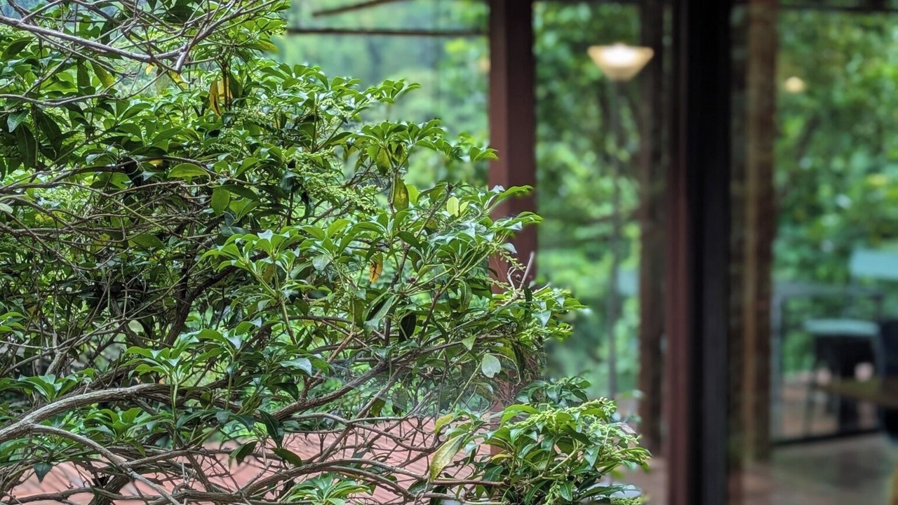Photo of Outdoor in Yawatano