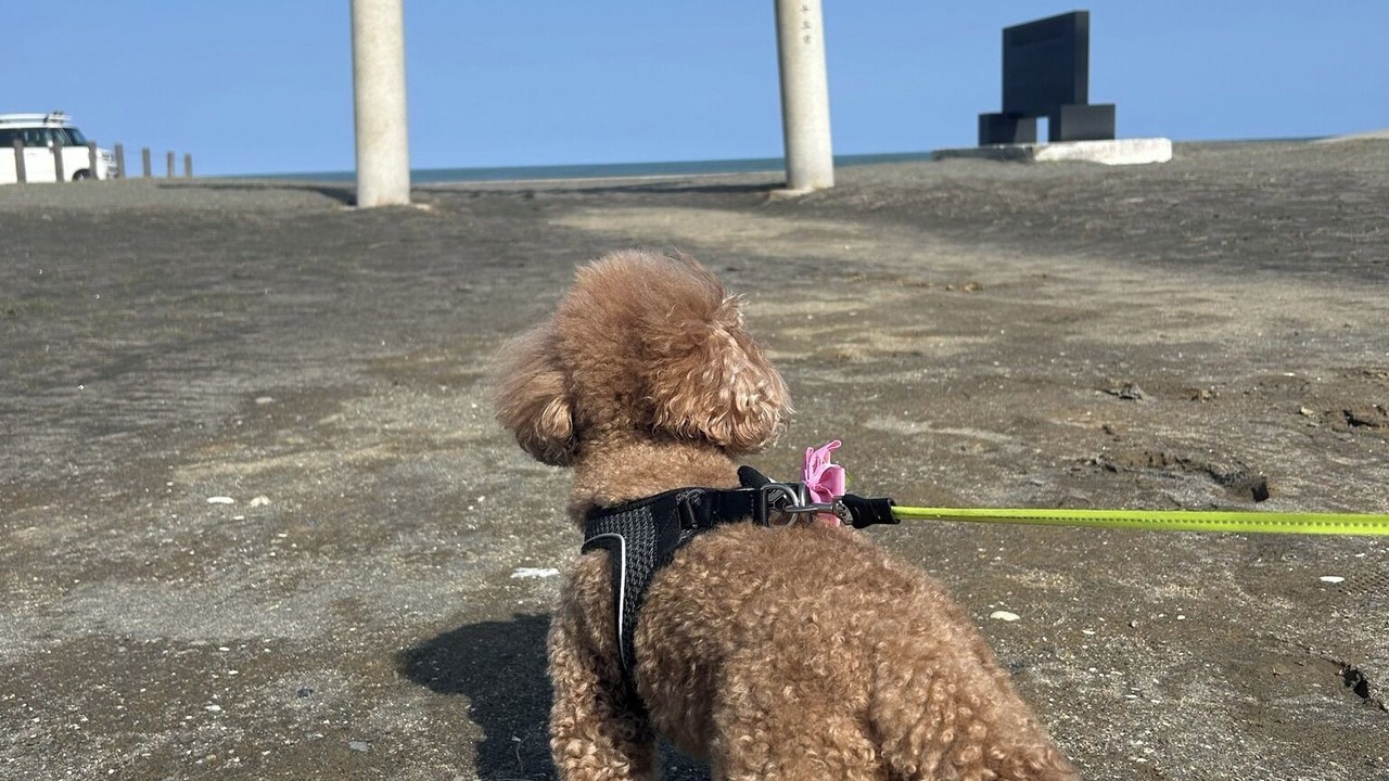 Photo of Others in Ichinomiya