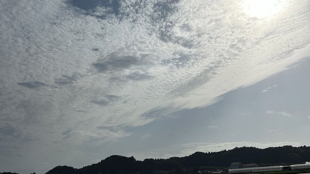 Photo of Others in Ichinomiya