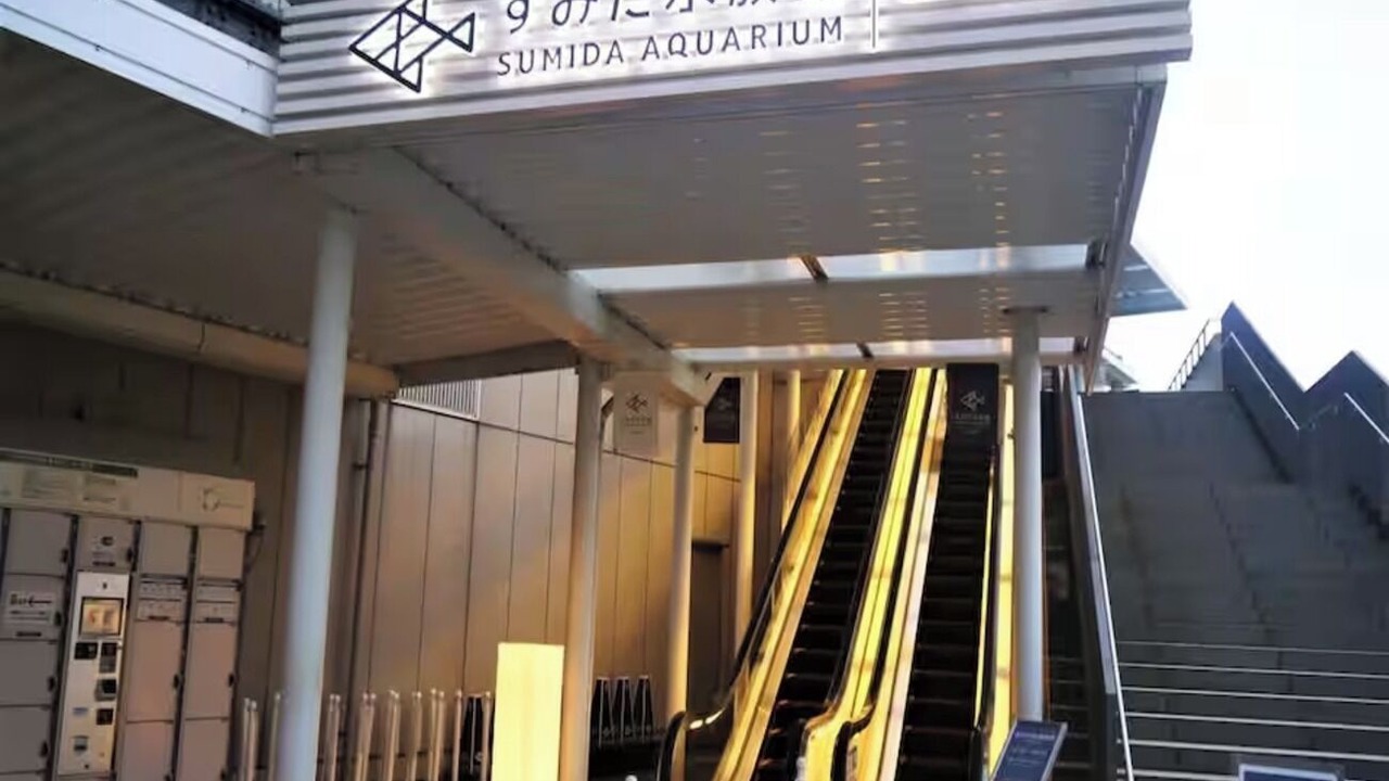 Photo of Others in Sumida