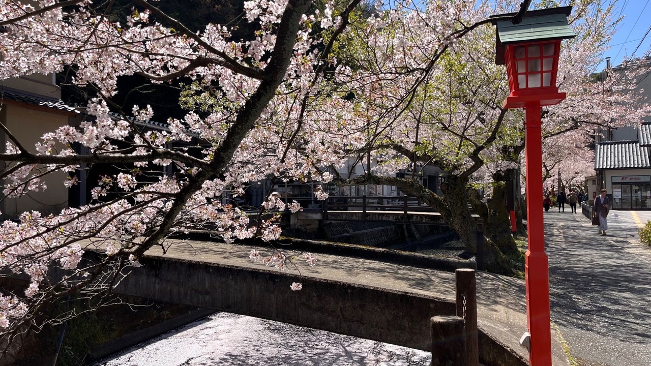 Photo of Others in Kinosaki Onsen