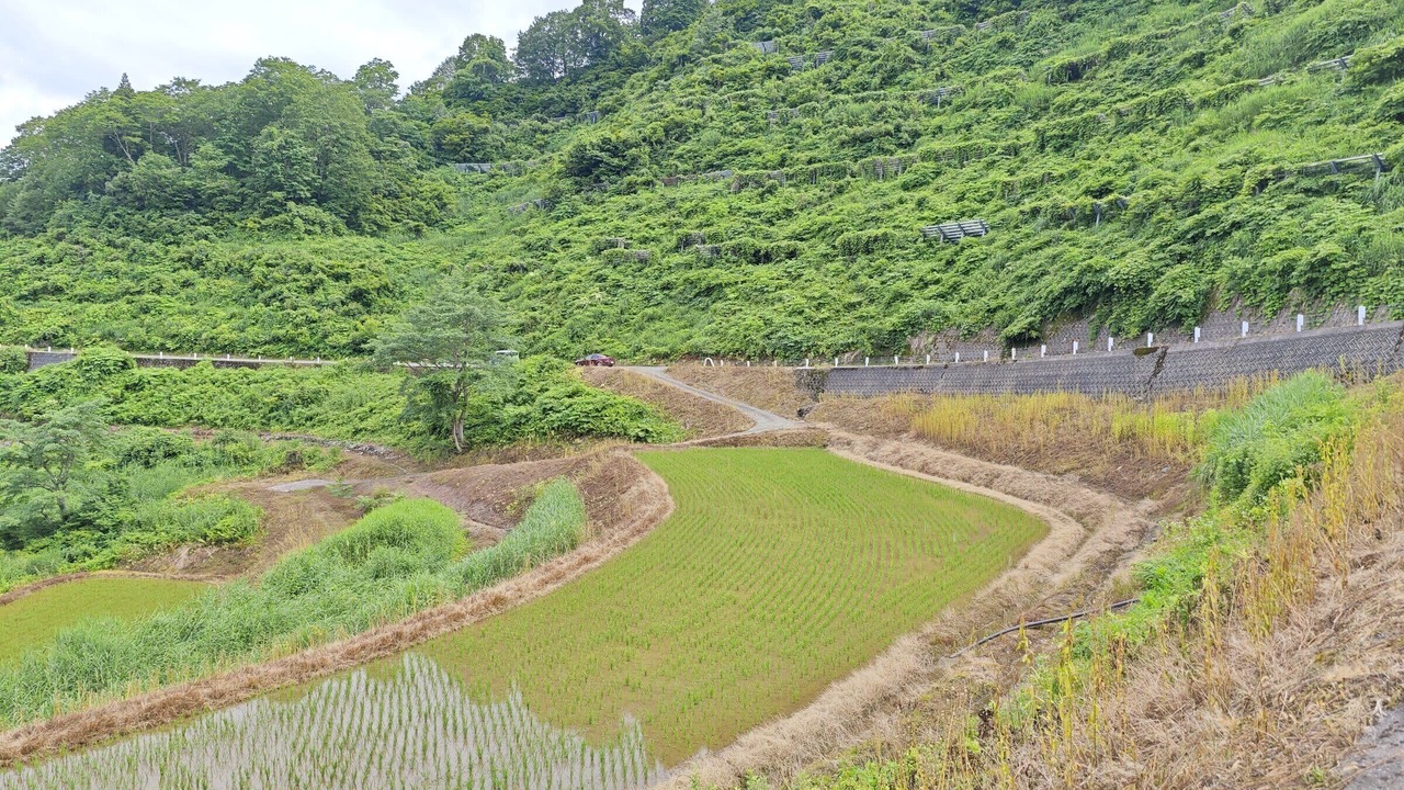 Photo of Others in Tokamachi