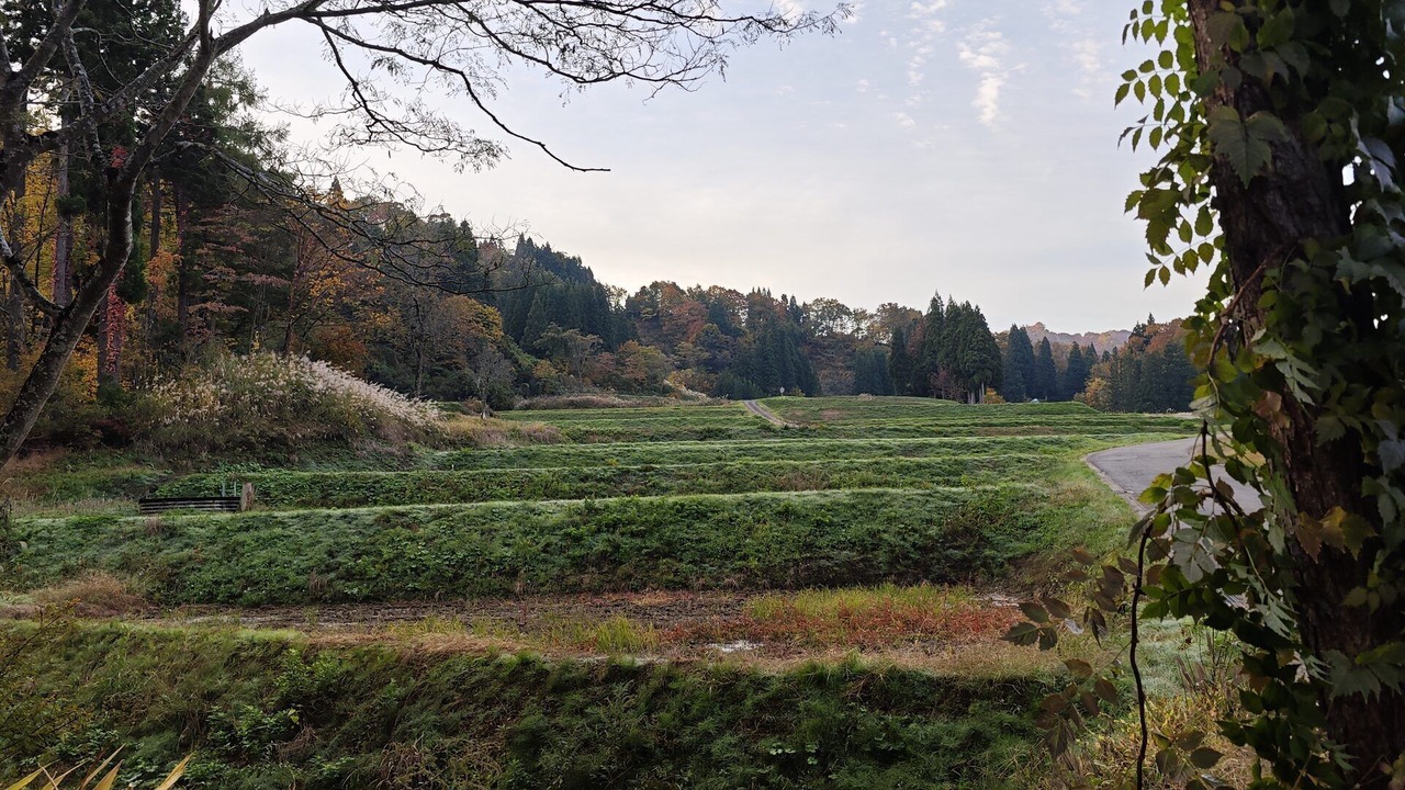 Photo of Others in Tokamachi