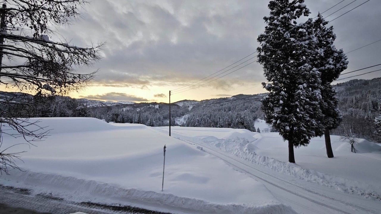 Photo of Others in Tokamachi
