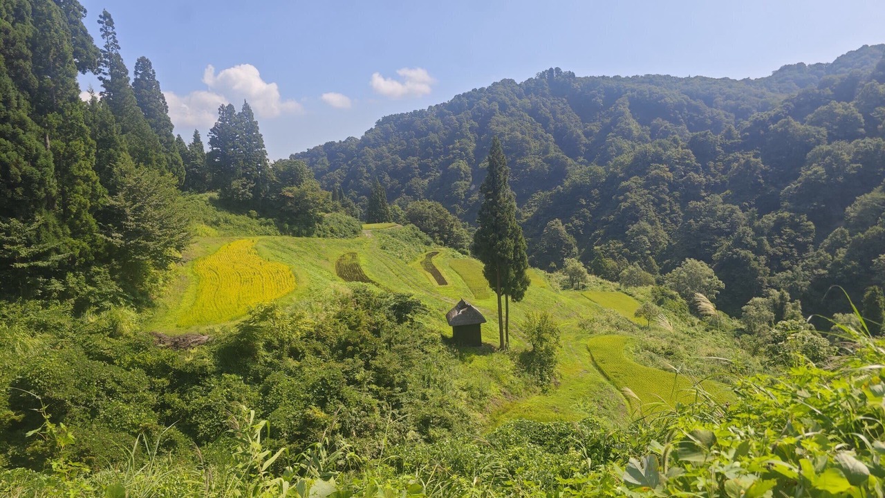 Photo of Others in Tokamachi